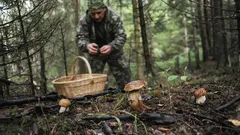 Sbírání hub v lese, houbař v maskáčích s proutěným košem mezi hřiby
