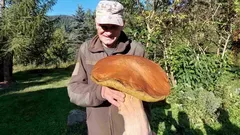 Obří hřib z Krkonoš: příběh houbařského rekordu, který šokoval Česko