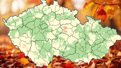 Houbařská horečka v říjnu 2025: Kde nyní podle nejnovějších údajů ČHMÚ roste nejvíce hub